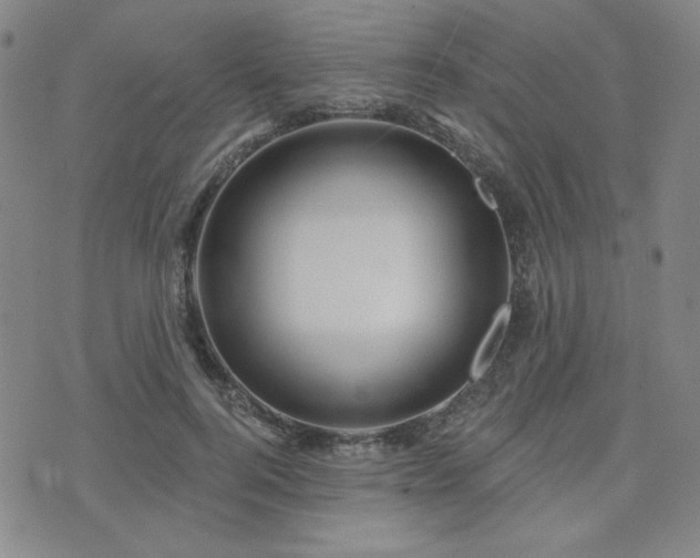 X0000071850744200606301337