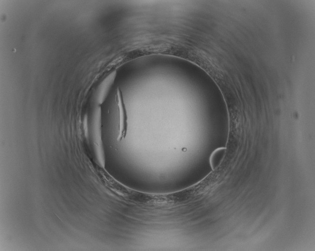 X0000071850745200606301337