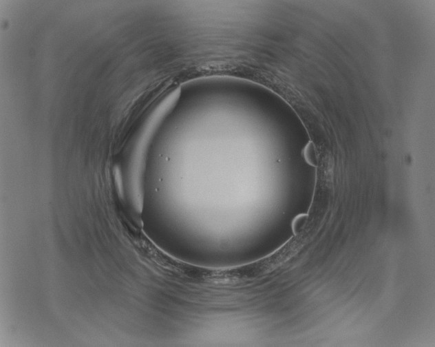 X0000071850746200606301337