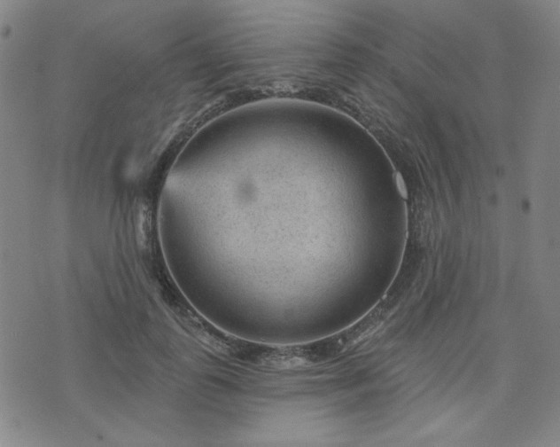 X0000071850747200606301337