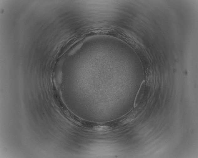 X0000071850748200606301337