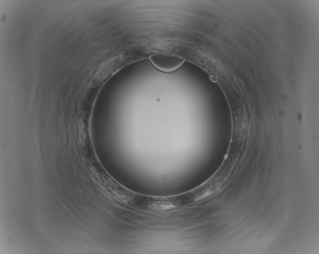 X0000071850749200606301337