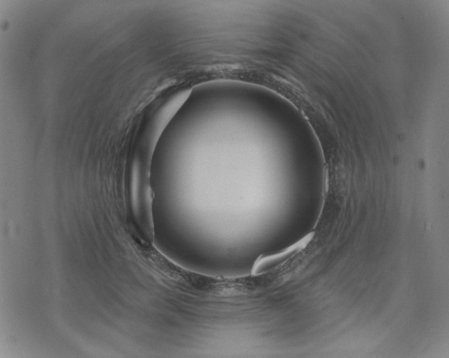 X0000071850750200606301337