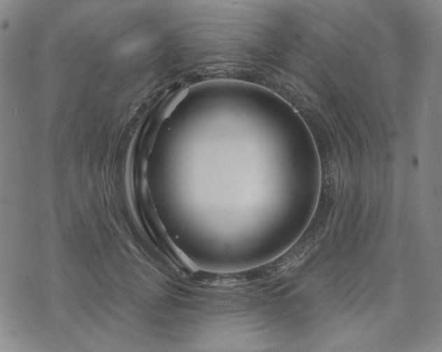 X0000071850751200606301337