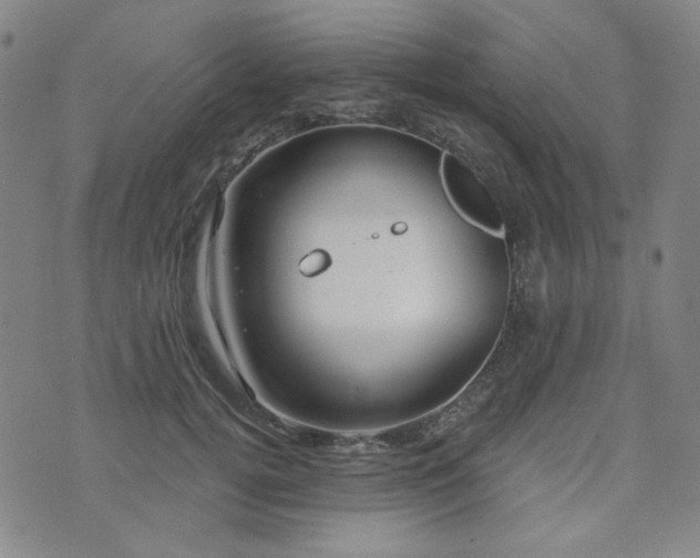 X0000071850752200606301337