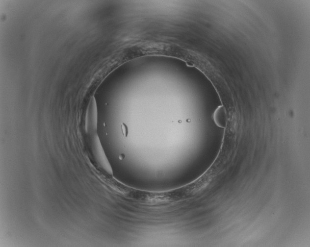 X0000071850753200606301337