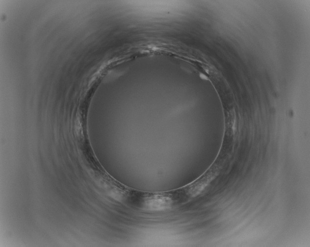 X0000071850754200606301337