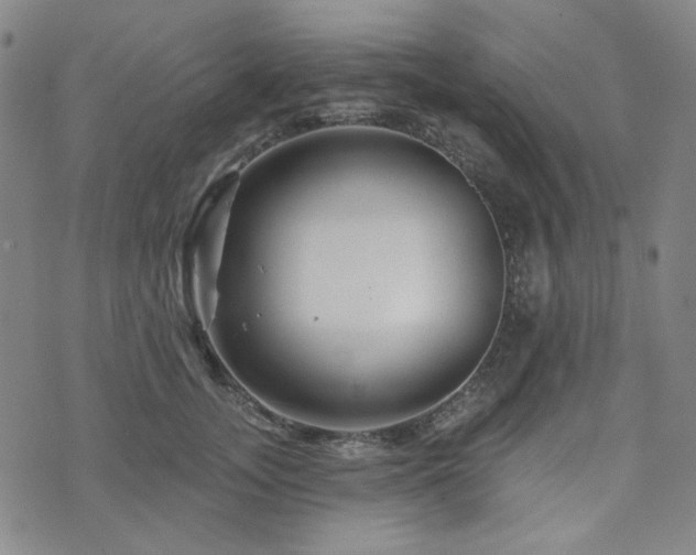 X0000071850755200606301337