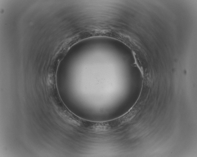 X0000071850756200606301337