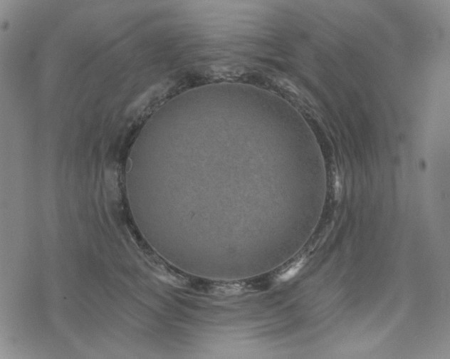 X0000071850757200606301337