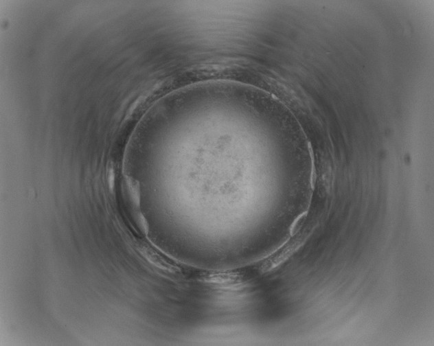 X0000071850758200606301337