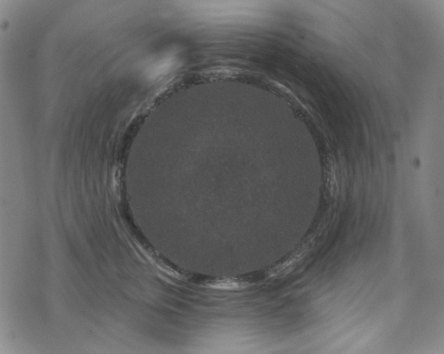 X0000071850759200606301337