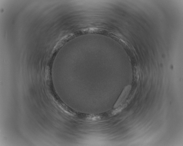 X0000071850760200606301337