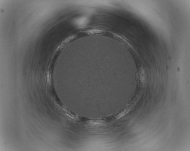 X0000071850763200606301337