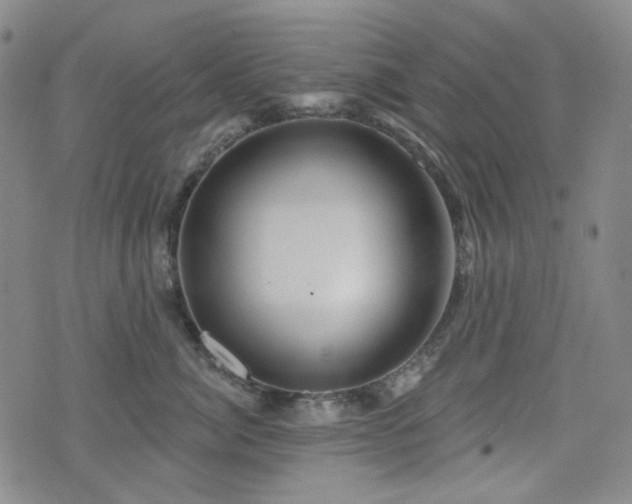 X0000071850764200606301337