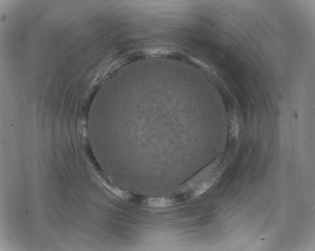 X0000071850766200606301337