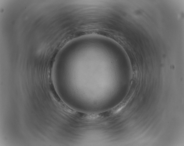 X0000071850767200606301337