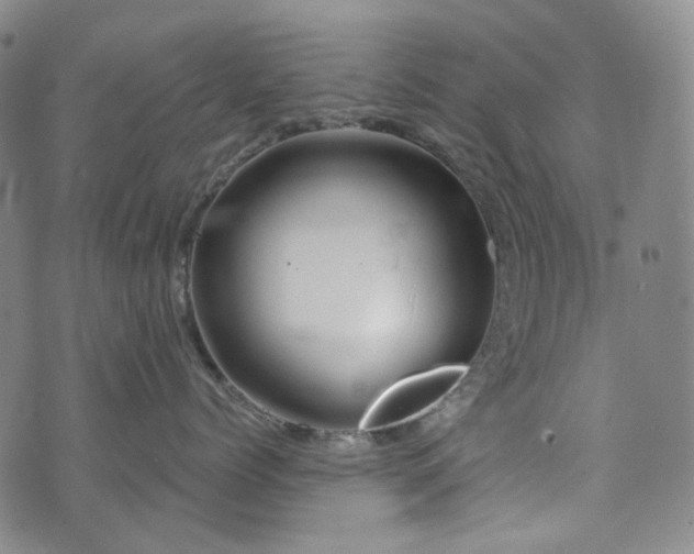 X0000071850768200606301337