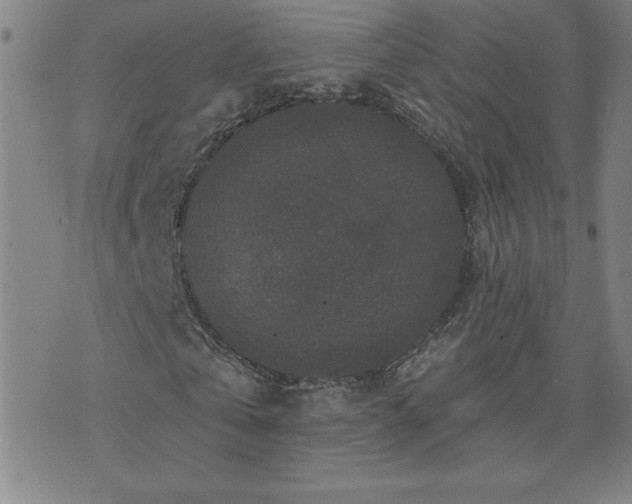 X0000071850769200606301336