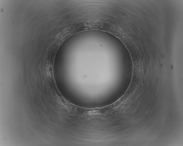 X0000071850770200606301336