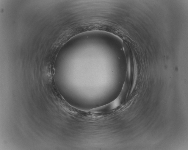 X0000071850771200606301336