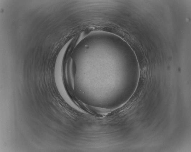 X0000071850772200606301336