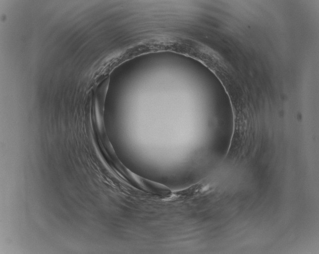 X0000071850773200606301336