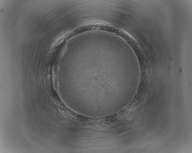 X0000071850775200606301336