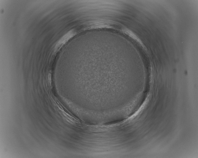 X0000071850777200606301336