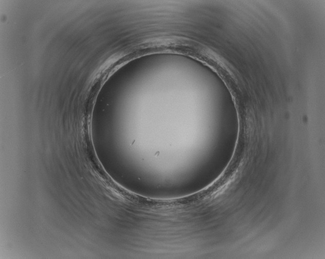 X0000071850778200606301336