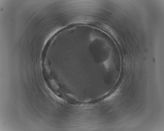 X0000071850779200606301336