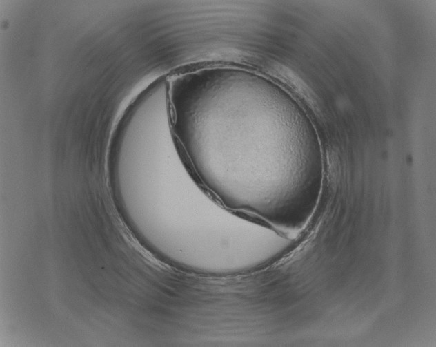 X0000071850780200606301336