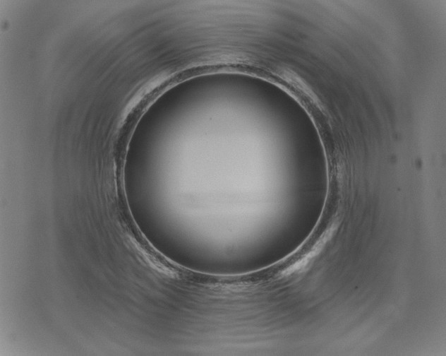 X0000071850781200606301336