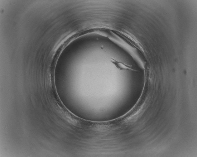 X0000071850782200606301336