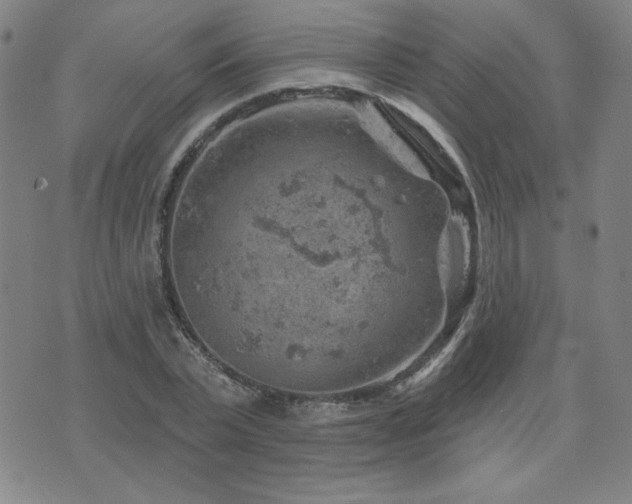 X0000071850783200606301336