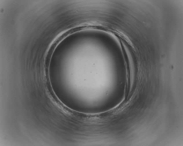 X0000071850784200606301336