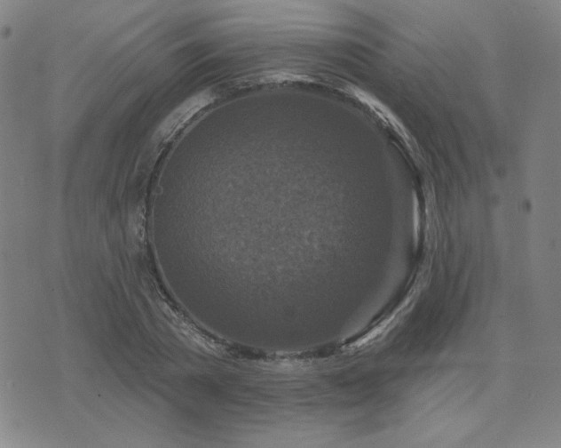 X0000071850785200606301336