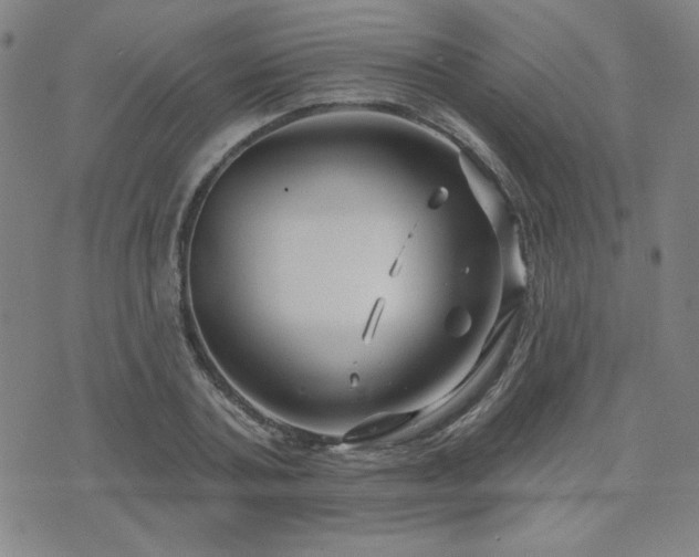 X0000071850787200606301336