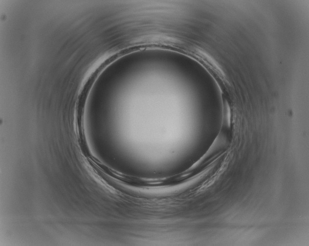 X0000071850788200606301336