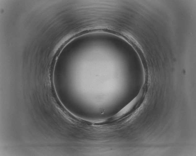 X0000071850789200606301336