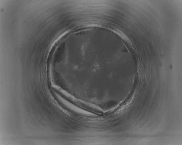 X0000071850790200606301336