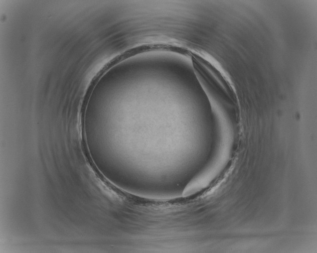 X0000071850791200606301336