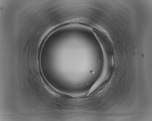 X0000071850792200606301336