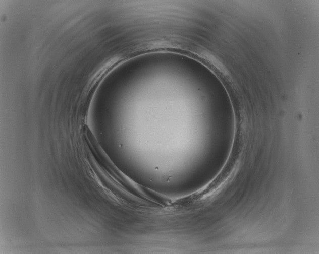 X0000071850793200606301336