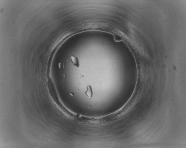 X0000071850794200606301336