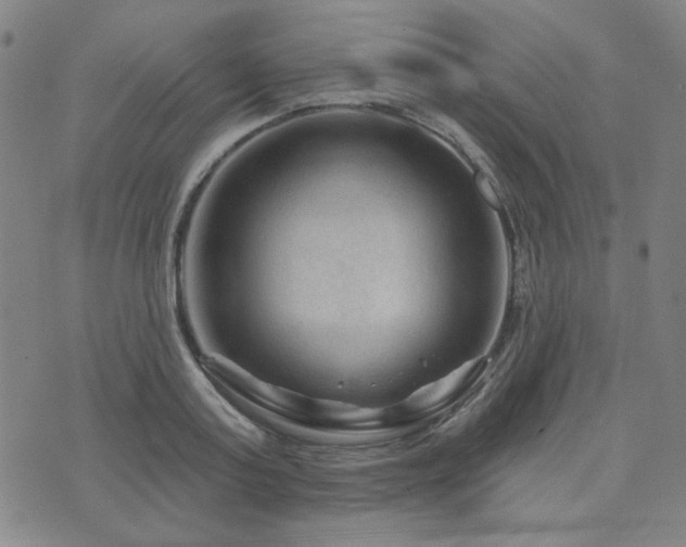 X0000071850795200606301336