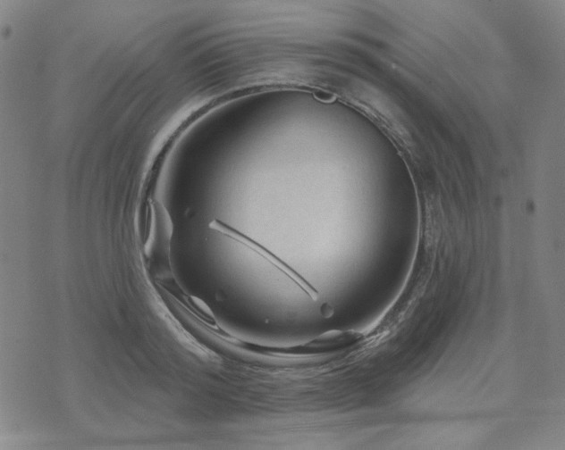 X0000071850796200606301336