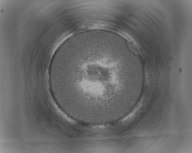 X0000071850798200606301336