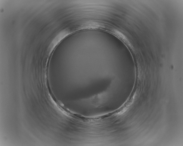 X0000071850802200606301336