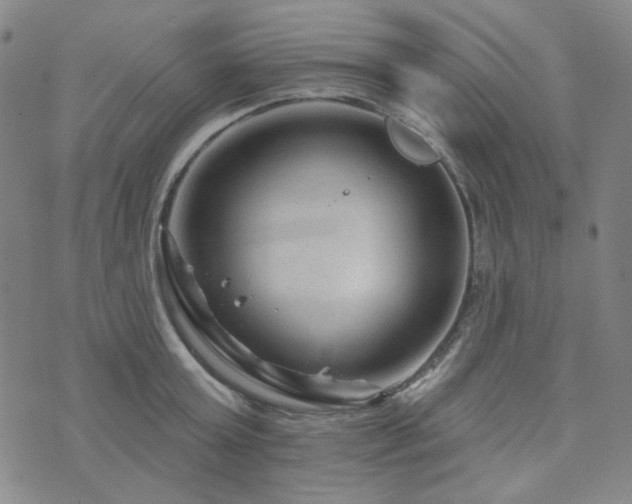 X0000071850803200606301336